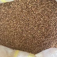 دانه باکویت. (گندم سیاه )