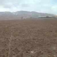 اجاره زمین کشاورزی آبی به مساحت 14000 مترمربع