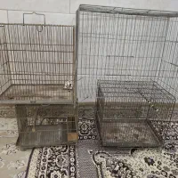 قفس پرنده