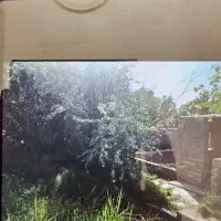 باغ 500 متری