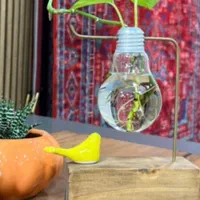 گلدون لامپ|صنایع دستی و سایر لوازم تزئینی|رشت, ساغری سازان|دیوار