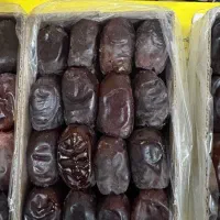 خرما|خوردنی و آشامیدنی|شیراز, آزادی|دیوار