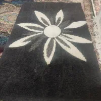 قالی 6 متری