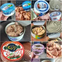 تن ماهی