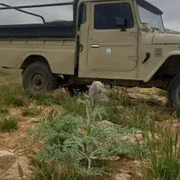 خودرو تویوتا دواف سالم|خودرو سواری و وانت|تهران, آذری|دیوار