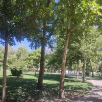 علل اختلافات خانوادگی