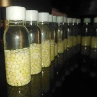 خاویار حلزون|خزنده|شیراز, فرگاز|دیوار