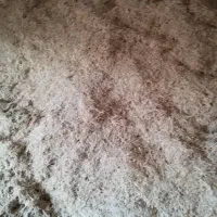 کاه نرم و درجه یک گوسفندی|حیوانات مزرعه|آمل, |دیوار