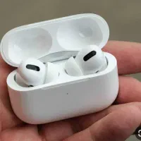 ارپاد پرو معاوضه با کبوتر یا بلدرچین