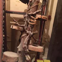 دکور چوبی ۱۷ تیکه|فروشگاه و مغازه|بندر ماهشهر, |دیوار