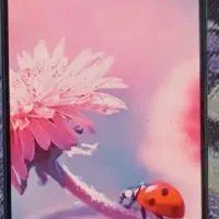 سامسونگ a51|موبایل|میرجاوه, |دیوار