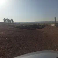 دوهزار-متر-زمین-مناسب-دامداری