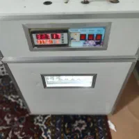 دستگاه جوجه کشی سالم