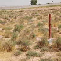 فروش فوری زمین200 متری شهرک دودمان اخر محراب|فروش زمین و ملک کلنگی|شیراز, دودمان|دیوار