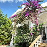 *باخرید این ویلا غم و غصه هات یادت میره*سند*حیاط|فروش خانه و ویلا|چمستان, |دیوار