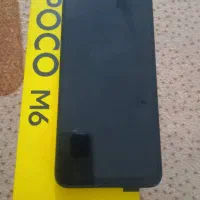 شیامی پکو m6 فروشی|موبایل|بندر گناوه, |دیوار