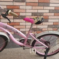 دوچرخه دخترانه ۲۰
