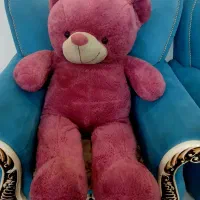 خرس بزرگ در حد نو