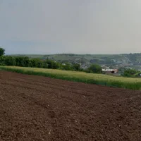 فروش زمین ۵۵۰ متری|فروش زمین و ملک کلنگی|نکا, |دیوار