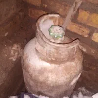 پیک نیک و کپسول