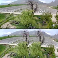 اجاره زمین کشاورزی|اجارهٔ دفتر صنعتی، کشاورزی، تجاری|درودزن, |دیوار