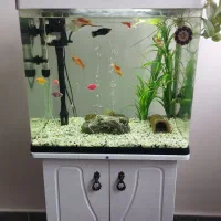 آکواریوم دلسا مدل k500 شیشه خم