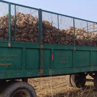 تریلی 8چرخ ترمز دار|ماشین‌آلات صنعتی|نقده, |دیوار