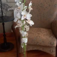 گل  ارکیده  و  گلدان شیشه ای