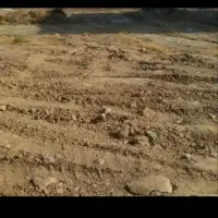 زمین عباس آباد معراج یک