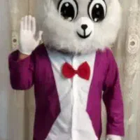 اجاره لباس خرگوش