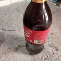 شیرانگوردرجه یک