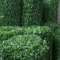 فنس چمنی|گل مصنوعی|شیراز, اصلاح‌نژاد|دیوار