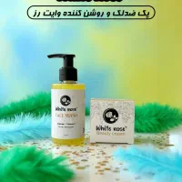 پک وایت روز|آرایشی، بهداشتی، درمانی|شیراز, آبیاری|دیوار