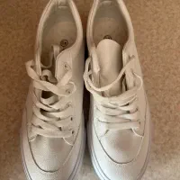 کفش|کیف، کفش، کمربند|ارومیه, |دیوار