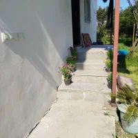 دو خوابه، ورودی جاده دالخانی|اجارهٔ کوتاه‌مدت آپارتمان و سوئیت|تنکابن, |دیوار