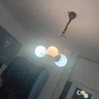 لوستر مولکولی|لوستر و چراغ آویز|پردیس, فاز ۱۱|دیوار