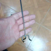 شاخک