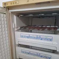 فریزر تک پارس|یخچال و فریزر|لاهیجان, کوی آزادگان|دیوار