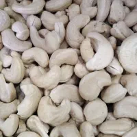 بادام هندی خام امسالی