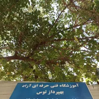 ازسیکل تا دیپلم و از دیپلم تا دانشگاه