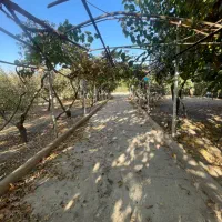 850 مترشهرک سهیله سنددار انشعابات کامل