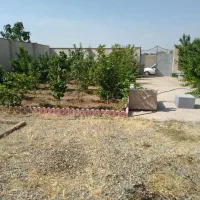 باغچه چهار دیواری|فروش زمین و ملک کلنگی|هشتگرد, فشند|دیوار