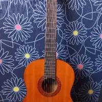 گیتار یاماها C40