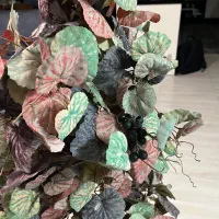 درختچه مصنوعی  قابل شستشو و خارجی