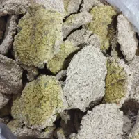 ترخینه امسال