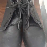 ایمنی شماره۴۲