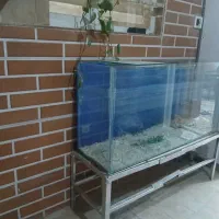 آکواریوم|ماهی|فردوسیه, |دیوار