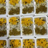 سفارش فوری غذا تعداد بالای ۳۰ پرس