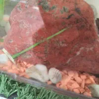 سنگ راف سرپانتین|جواهرات|کاشان, استرک|دیوار