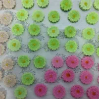 قند رنگی|صنایع دستی و سایر لوازم تزئینی|نیشابور, شهید بهشتی|دیوار